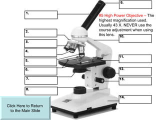Click Here to Return  to the Main ݺߣ #5 High Power Objective –  The highest magnification used. Usually 43 X. NEVER use the course adjustment when using this lens. 