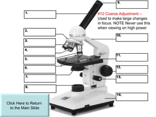Click Here to Return  to the Main ݺߣ #12 Coarse Adjustment –  Used to make large changes in focus. NOTE Never use this when viewing on high power 
