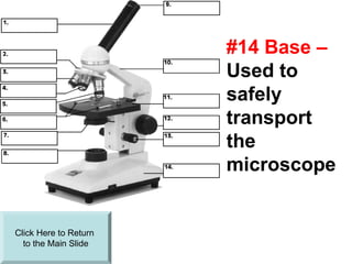 The Parts of Laboratory Microscope.ppt