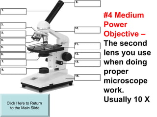 Microscope Presentation The Parts of Laboratory Microscope.ppt