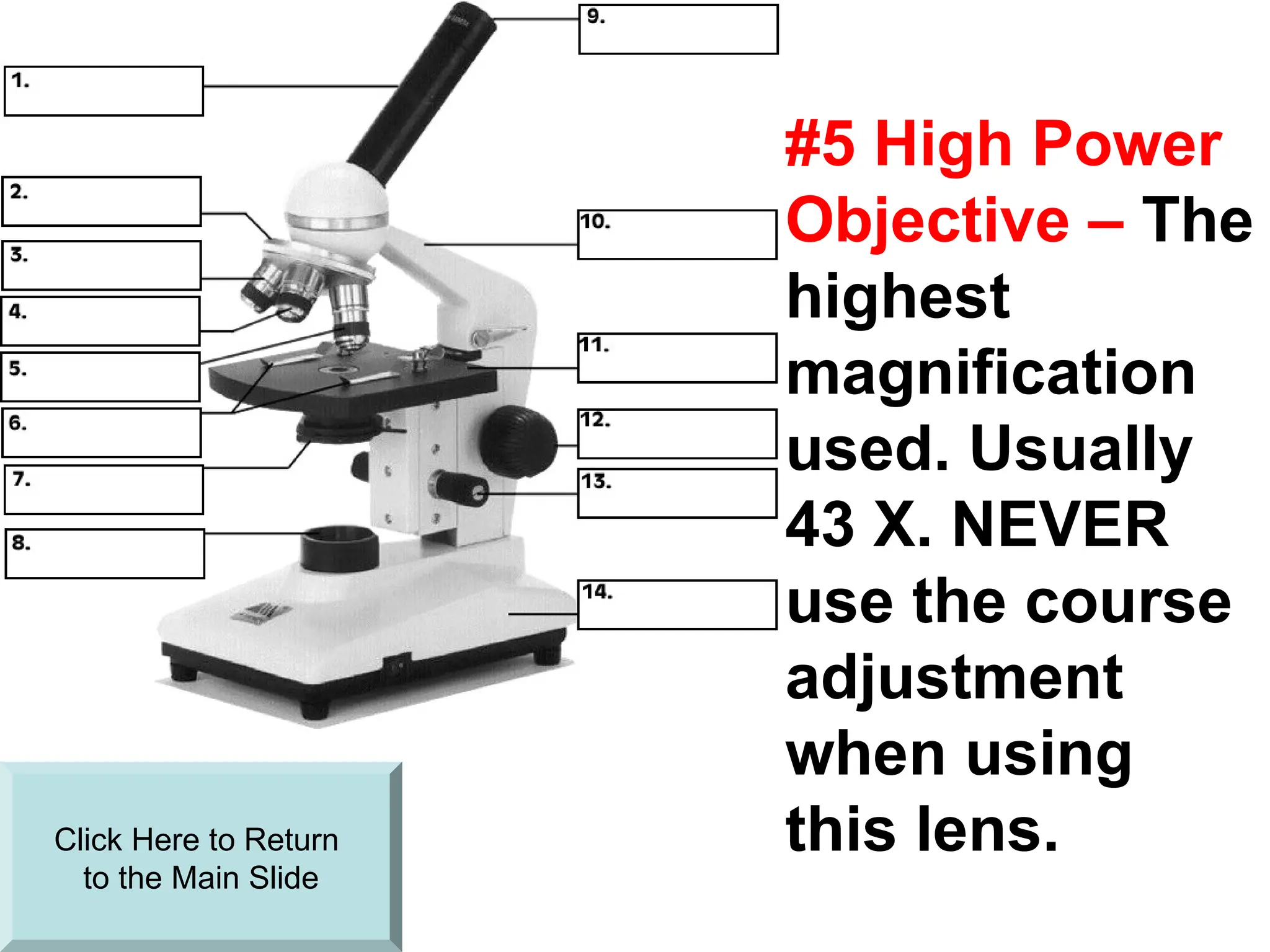 A detailed discussion of the different Parts and functions of the ...