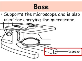 Partsofthemicroscope | PPT
