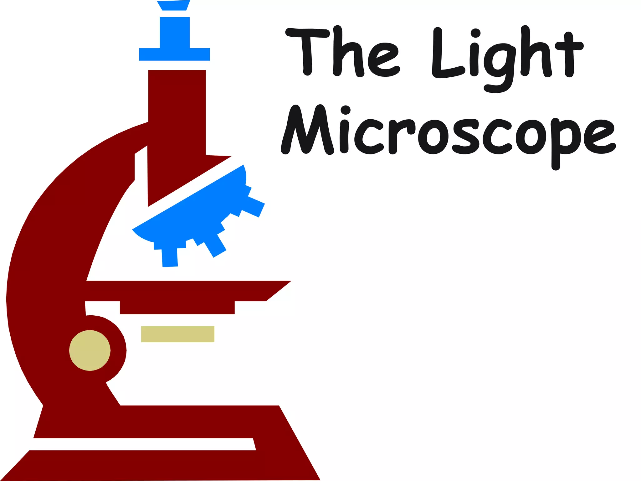 The Light
Microscope
 