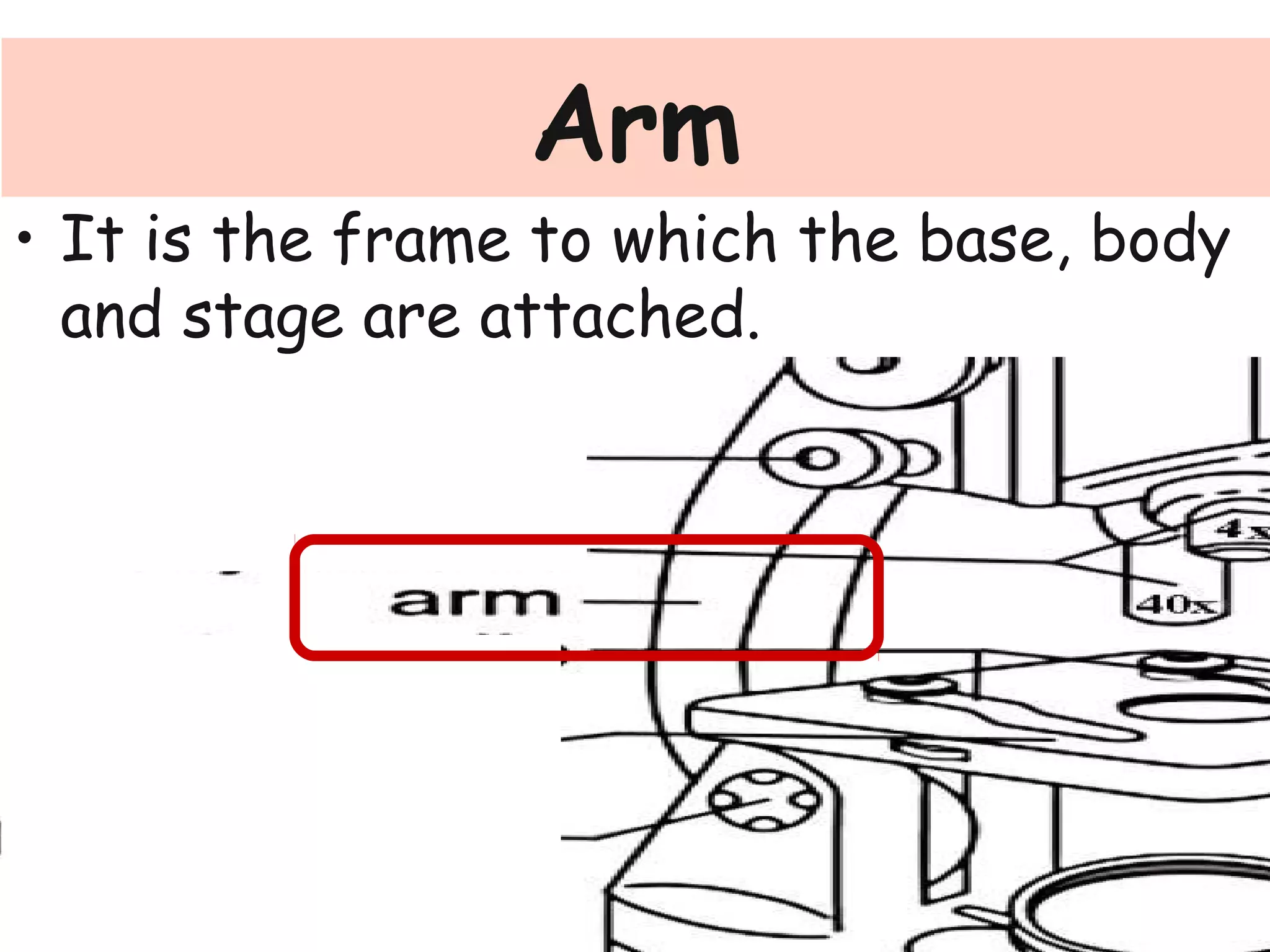 Arm
• It is the frame to which the base, body
and stage are attached.
 
