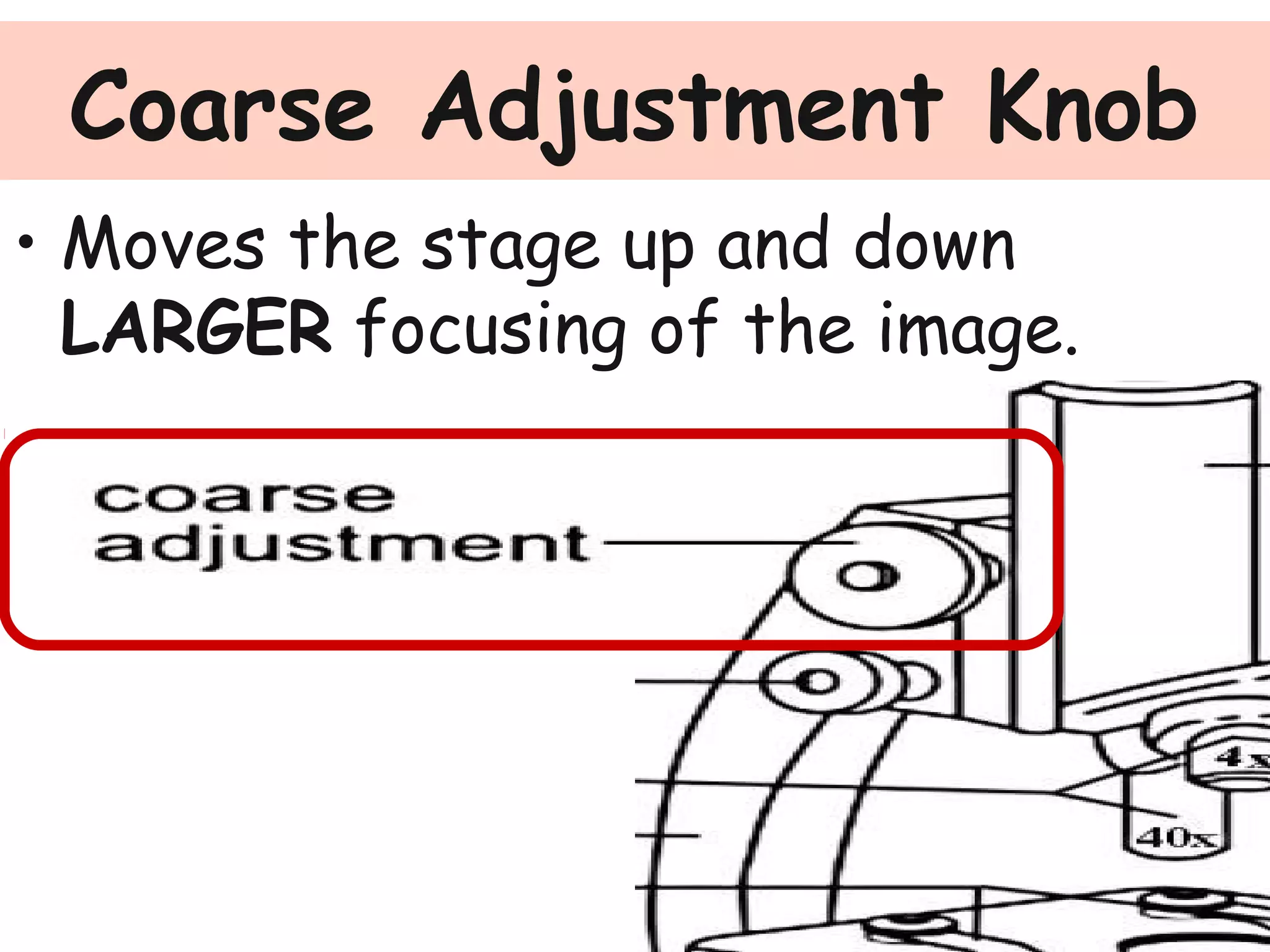 Coarse Adjustment Knob
• Moves the stage up and down
LARGER focusing of the image.
 