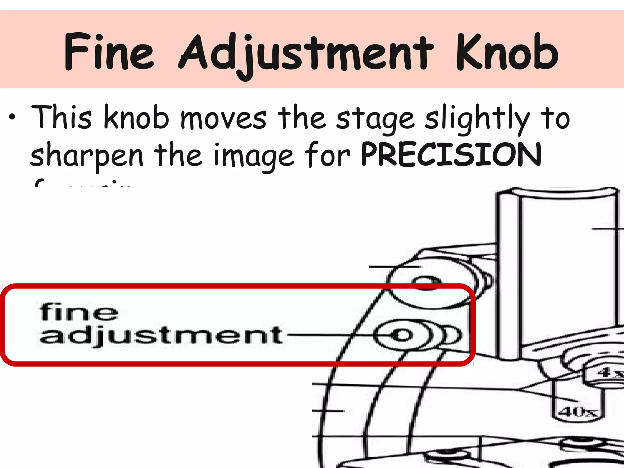 • This knob moves the stage slightly to
sharpen the image for PRECISION
focusing.
Fine Adjustment Knob
 