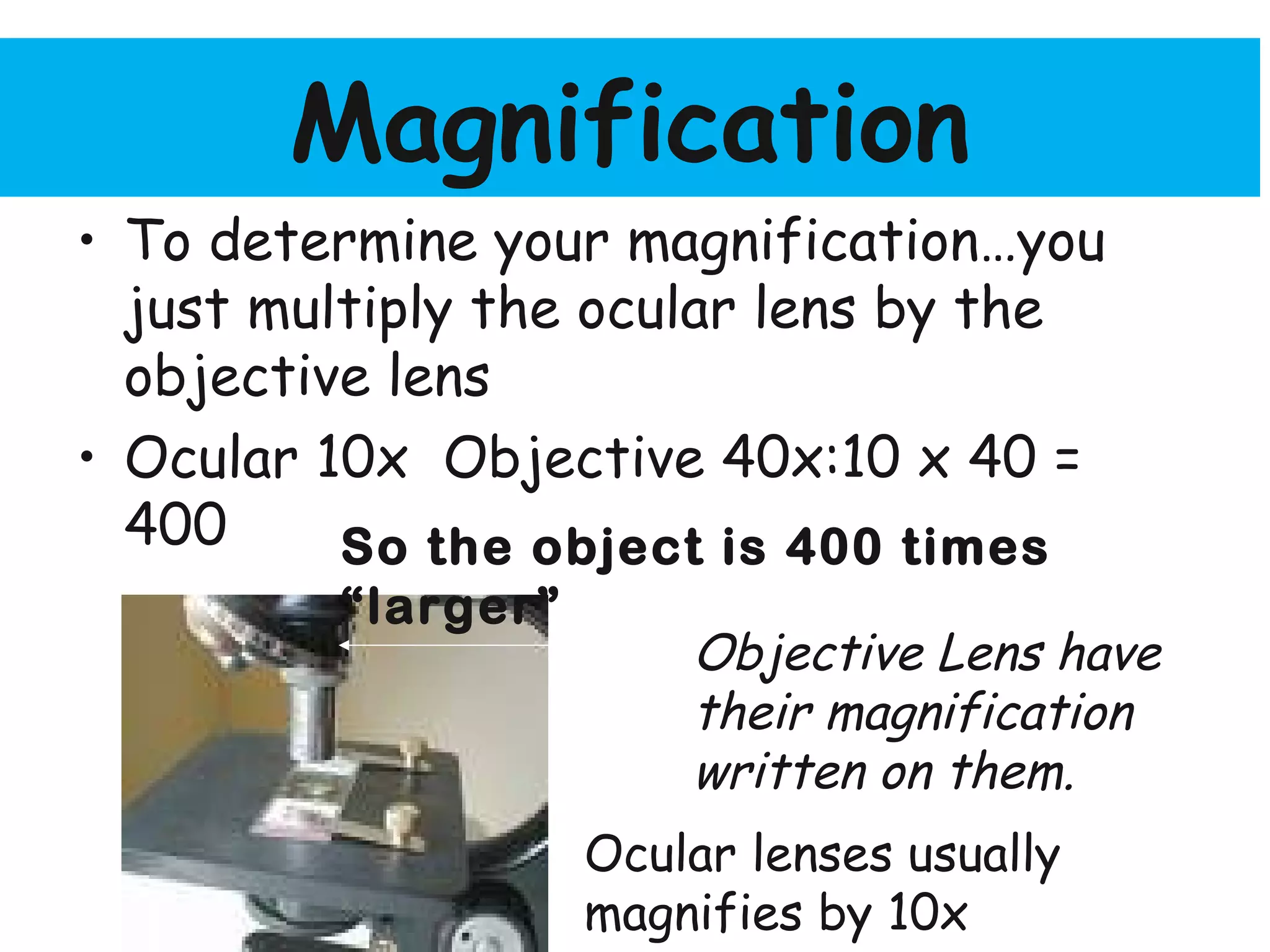 Magnification
• To determine your magnification…you
just multiply the ocular lens by the
objective lens
• Ocular 10x Objective 40x:10 x 40 =
400
Objective Lens have
their magnification
written on them.
Ocular lenses usually
magnifies by 10x
So the object is 400 times
“larger”
 