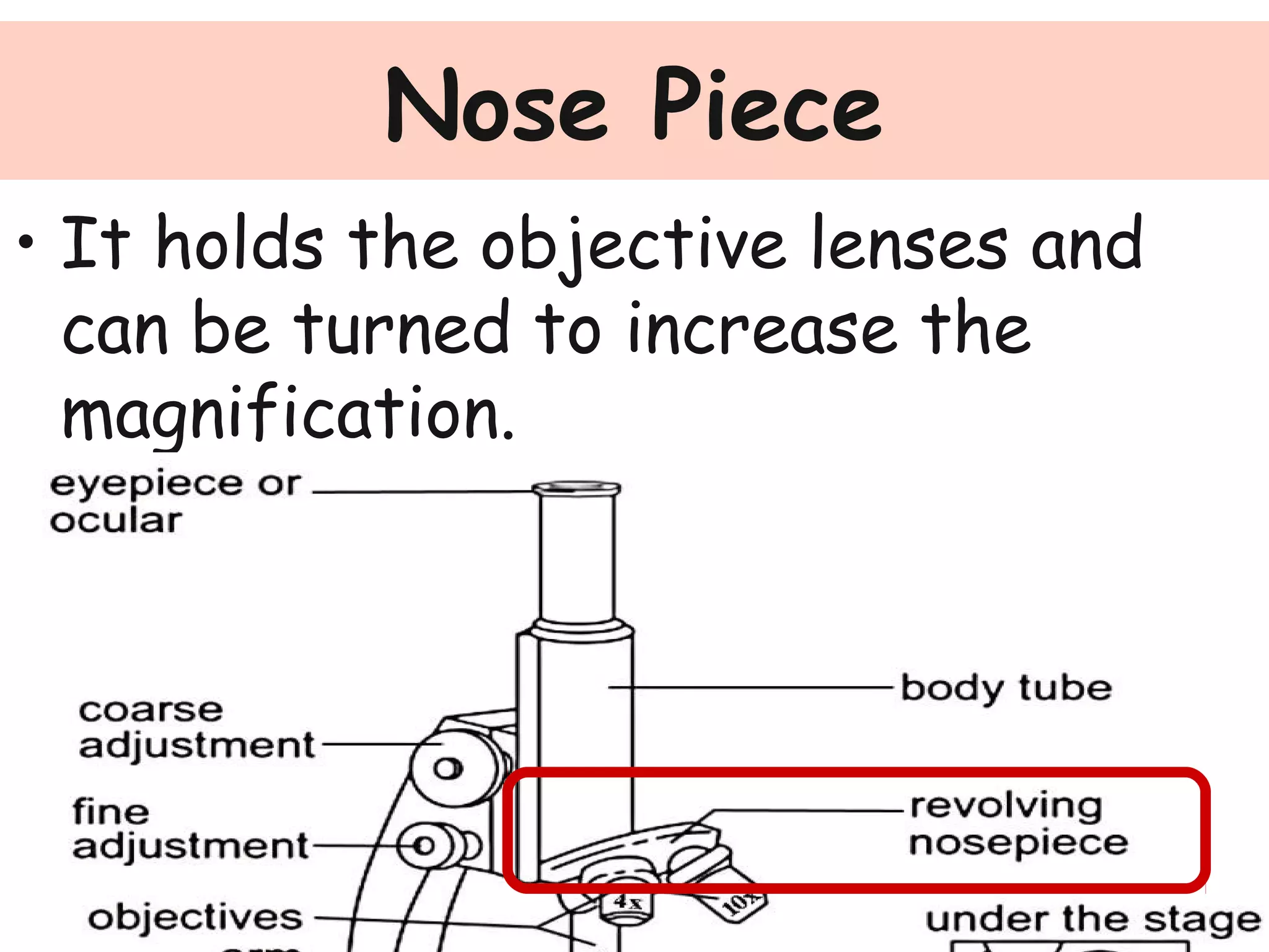 Nose Piece
• It holds the objective lenses and
can be turned to increase the
magnification.
 