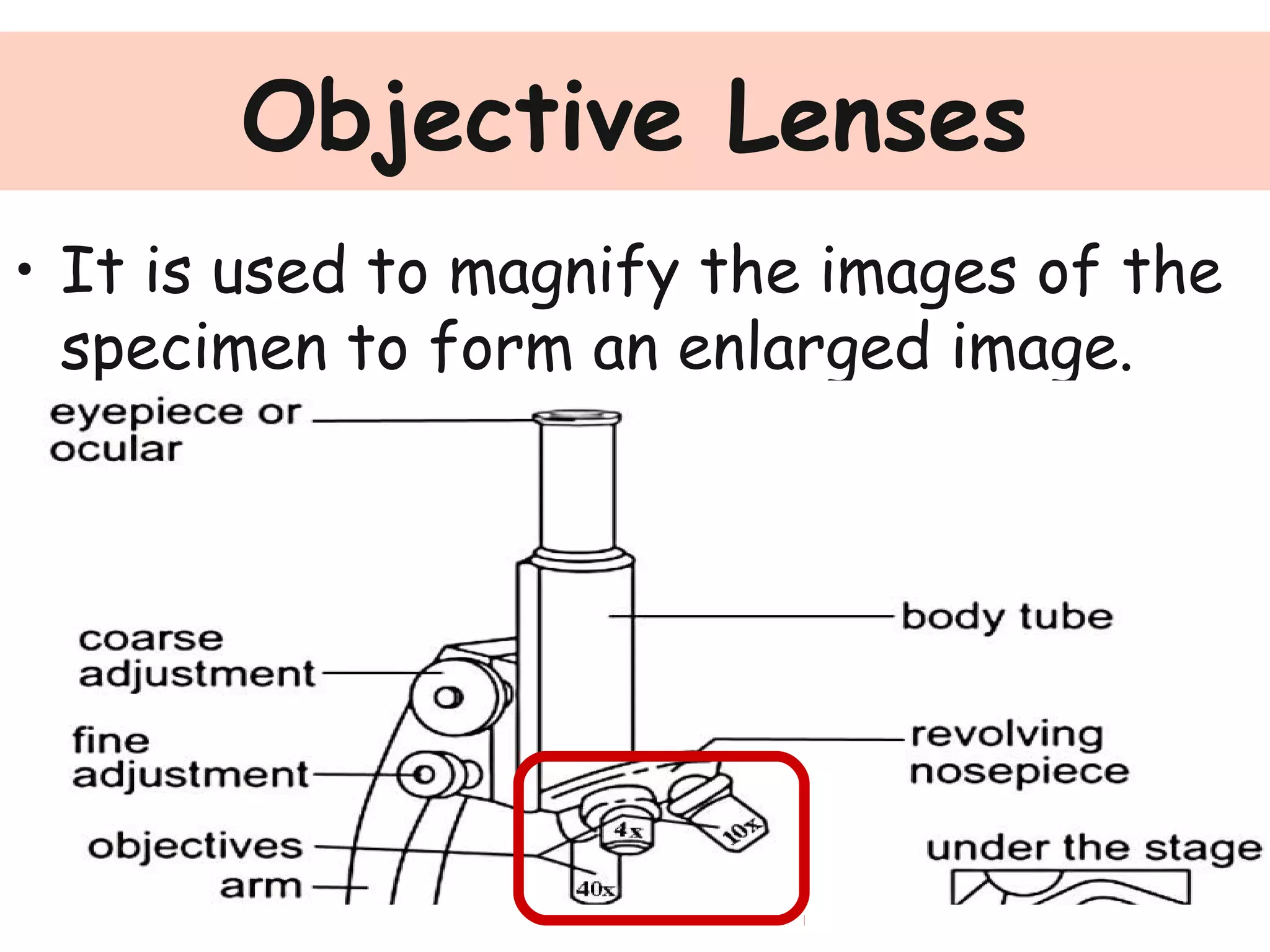 Objective Lenses
• It is used to magnify the images of the
specimen to form an enlarged image.
 
