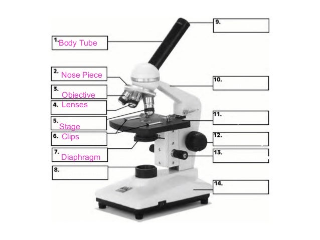 parts of the microscope