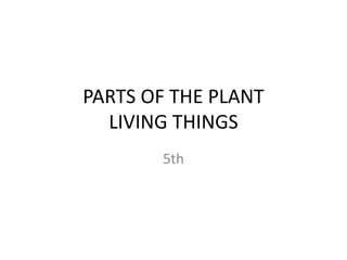 PARTS OF THE PLANT
LIVING THINGS
5th
 