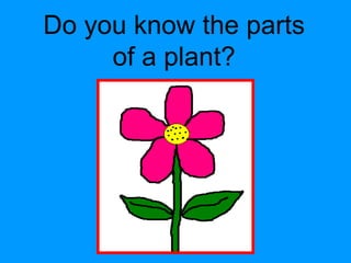 Do you know the parts
of a plant?
 