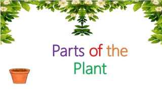 Parts of the
Plant
 