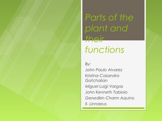 Parts of the
plant and
their
functions
By:
John Paulo Alvarez
Kristina Casandra
Gatchalian
Miguel Luigi Vargas
John Kenneth Tabiolo
Genedkin Charm Aquino
II- Linnaeus
 