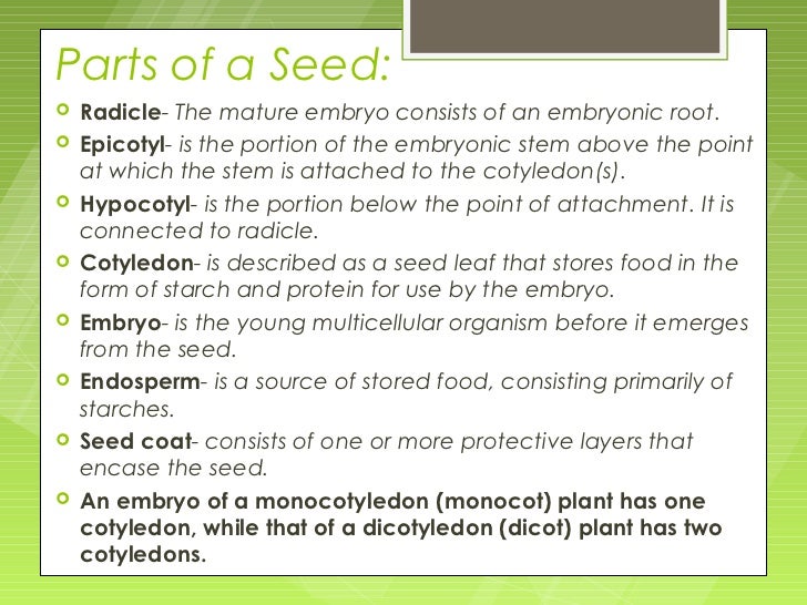 Parts of the plant and their functions