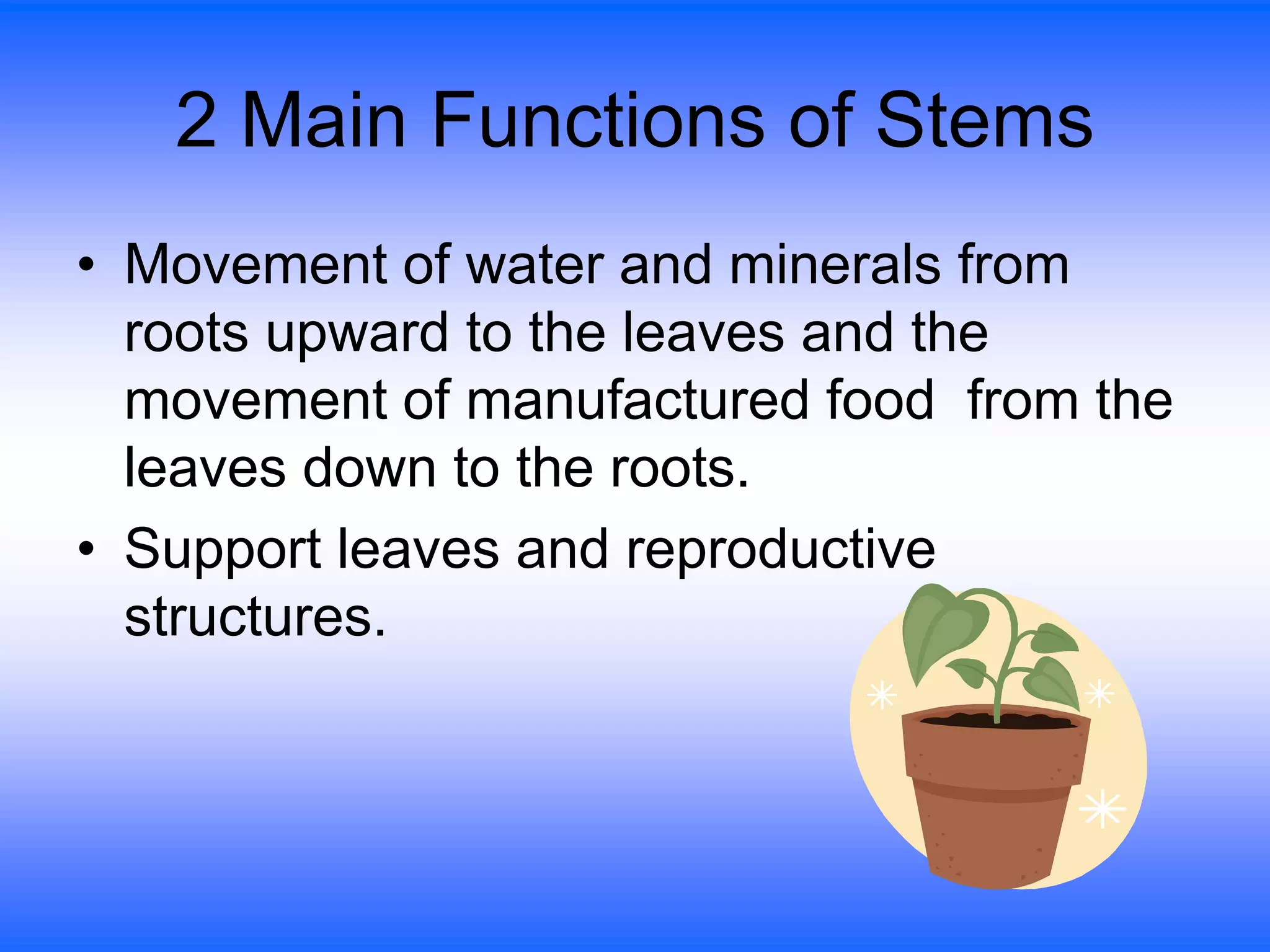 Parts of the plant ppt presentation | PPT
