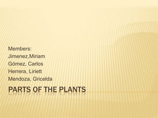 Members:
Jimenez,Miriam
Gómez, Carlos
Herrera, Liriett
Mendoza, Gricelda

PARTS OF THE PLANTS

 