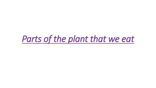 Parts of the plant that we eat
 