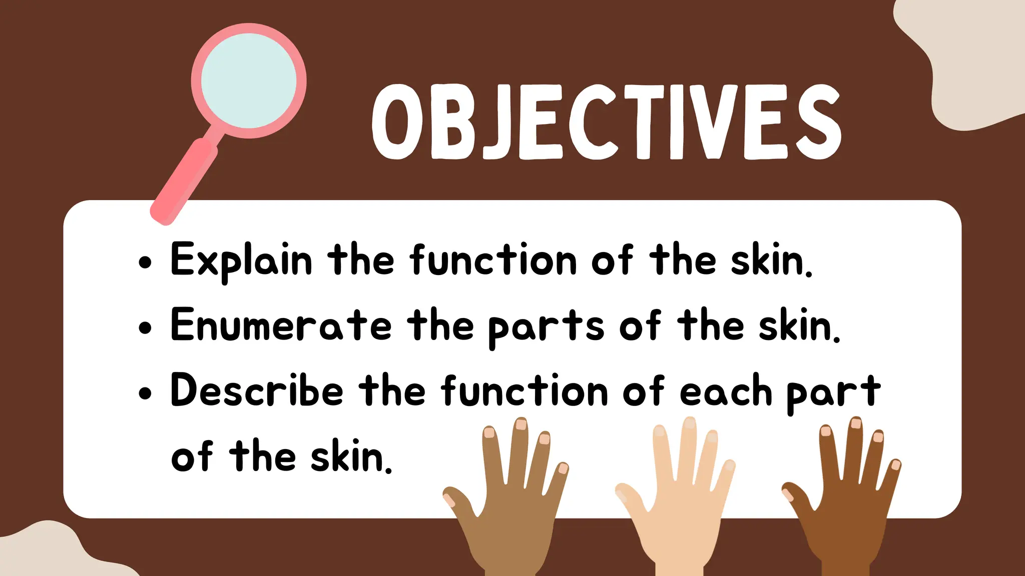 Skin Science Chapter Parts of the Skin Science Presentation in Colorful Illustrative Style.pdf