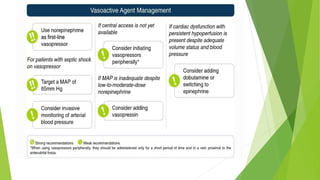 Sepsis hemodynamic update      part two