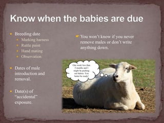 Know when the babies are dueBreeding date Marking harnessRattle paintHand matingObservationDates of male introduction and removal.Date(s) of “accidental” exposure.You won’t know if you never remove males or don’t write anything down.One week less than 5 months and I might be pushing out babies. You better be ready!