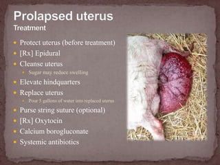  Simultaneous - figure out what belongs to who