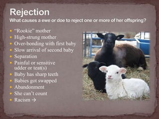 Retained placentaCauses and contributing factorsAbortionStillbirthsPremature birthUterine infectionDifficult/prolonged birthAssisted deliveryDead baby still in uterusNutritional deficienciesExhaustionStress