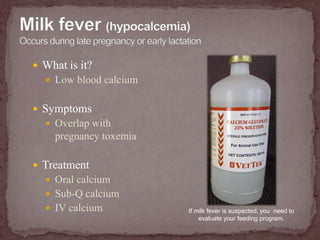 Milk fever (hypocalcemia)Occurs during late pregnancy or early lactation<br />What is it?<br />Low blood calcium<br />Symp...