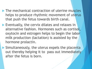  The mechanical contraction of uterine muscles
helps to produce rhythmic movement of uterus
that push the fetus towards birth canal.
 Eventually, the cervix dilates and relaxes in
alternative fashion. Hormones such as cortisol,
oxytocin and estrogen helps to begin the labor
milk production (lactation) is assisted by the
hormone prolactin.
 Simultaneously, the uterus expels the placenta
out thereby helping it to pass out immediately
after the fetus is born.
 
