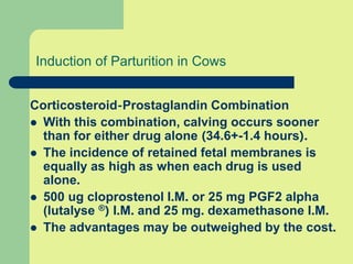 Induction of Parturition in Cows
Corticosteroid-Prostaglandin Combination
 With this combination, calving occurs sooner
than for either drug alone (34.6+-1.4 hours).
 The incidence of retained fetal membranes is
equally as high as when each drug is used
alone.
 500 ug cloprostenol I.M. or 25 mg PGF2 alpha
(lutalyse ®) I.M. and 25 mg. dexamethasone I.M.
 The advantages may be outweighed by the cost.
 