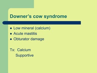 Downer’s cow syndrome
 Low mineral (calcium)
 Acute mastitis
 Obturator damage
Tx: Calcium
Supportive
 