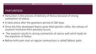 PARTURITION
 Parturition is the process of delivery of feotus because of strong
contraction of uterus.
 It takes place after the gestation period of 280 days.
 Once the fully developed feotus gives fetal ejection reflex, the release of
oxytocin hormone from pituitary occurs.
 The oxytocin results in strong contraction of uterus wall which leads to
the expulsion of feotus.
 Before birth pain start at regular contractions is called labour pain.
 