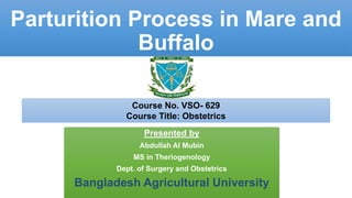 Parturition Process in Mare and
Buffalo
Presented by
Abdullah Al Mubin
MS in Theriogenology
Dept. of Surgery and Obstetrics
Bangladesh Agricultural University
Course No. VSO- 629
Course Title: Obstetrics
 