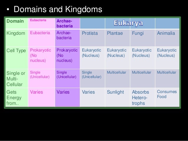 domains and kingdoms