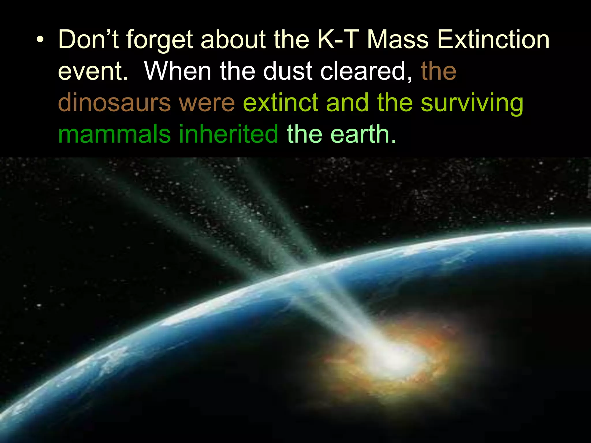 Mammals Lesson Biology PowerPoint, Class Mammalia, Taxonomy and ...