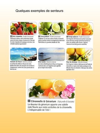 Quelques exemples de senteurs 