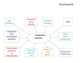 Genomics and proteomics | PPTX