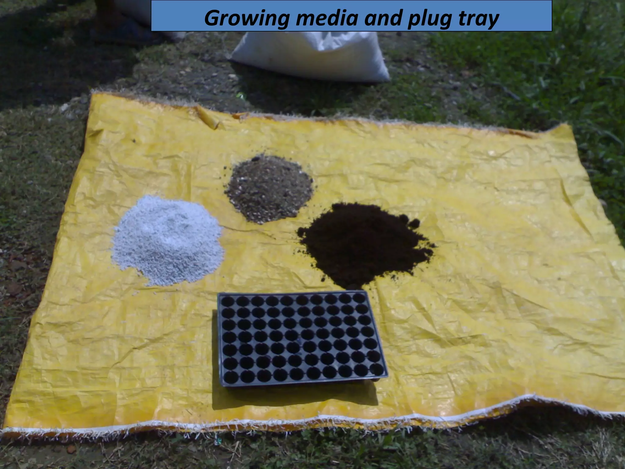Growing media and plug tray
 