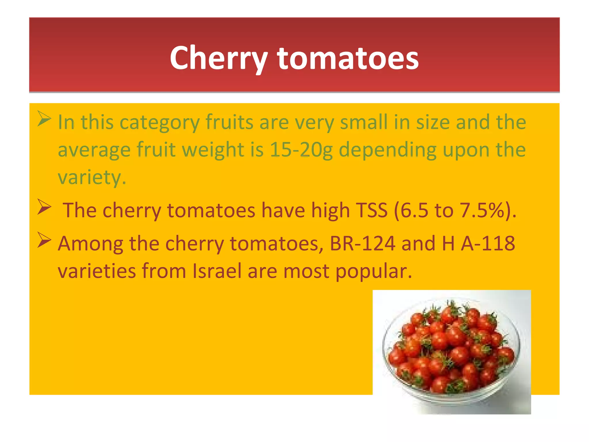 Cherry tomatoesCherry tomatoes
 In this category fruits are very small in size and the
average fruit weight is 15-20g depending upon the
variety.
 The cherry tomatoes have high TSS (6.5 to 7.5%).
 Among the cherry tomatoes, BR-124 and H A-118
varieties from Israel are most popular.
 