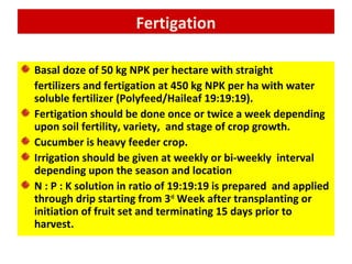 Crops for Protected Cultivation