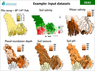 Targeting Improved Cropping Systems in Poverty-Prone Coastal Zones of South Asia