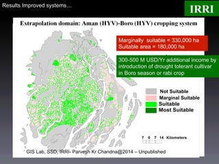 Targeting Improved Cropping Systems in Poverty-Prone Coastal Zones of South Asia