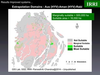 Targeting Improved Cropping Systems in Poverty-Prone Coastal Zones of South Asia