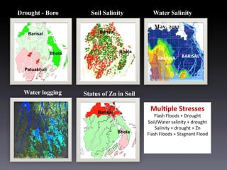 Targeting Improved Cropping Systems in Poverty-Prone Coastal Zones of South Asia