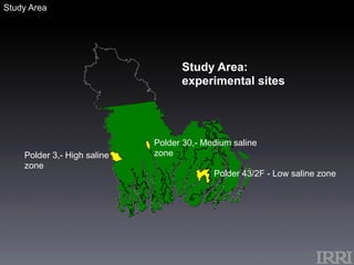 Targeting Improved Cropping Systems in Poverty-Prone Coastal Zones of South Asia