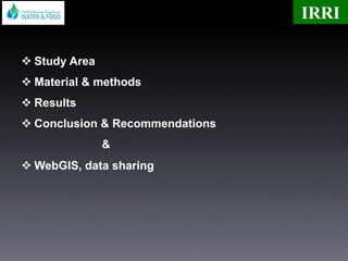 v Study Area
v Material & methods
v Results
v Conclusion & Recommendations
&
v WebGIS, data sharing
IRRI
 
