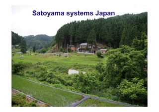 Satoyama systems Japan
 