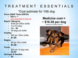 parvo cure cost