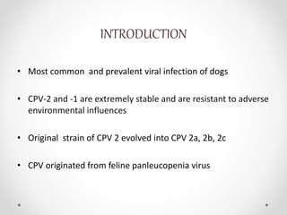 Parvo viral infection | PPTX