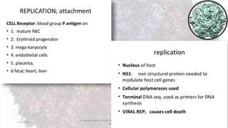 2/19/2016
Dr. Kaveh Haratian, Dept. of Microbiology and Immunology,
ABZUMS
14
 